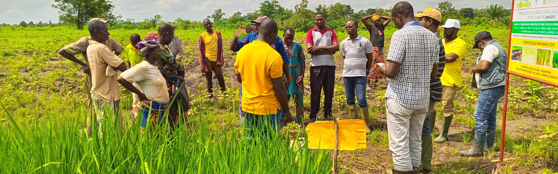 Diaspora Farmers Association