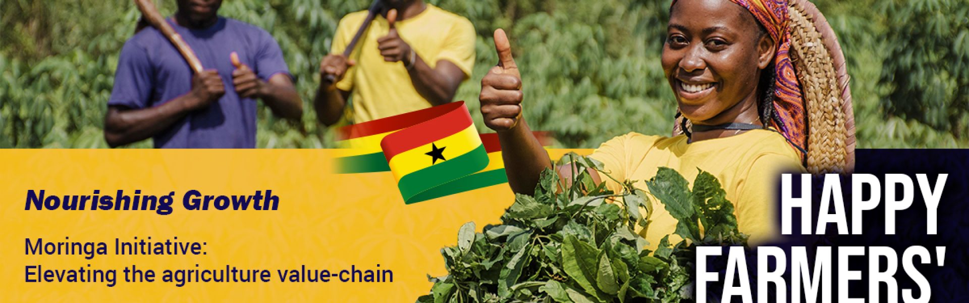 Diaspora Farmers Association