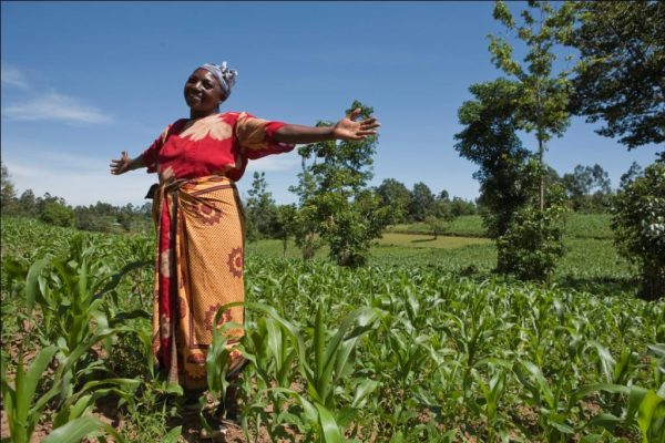 maize-farmers_dayjpg